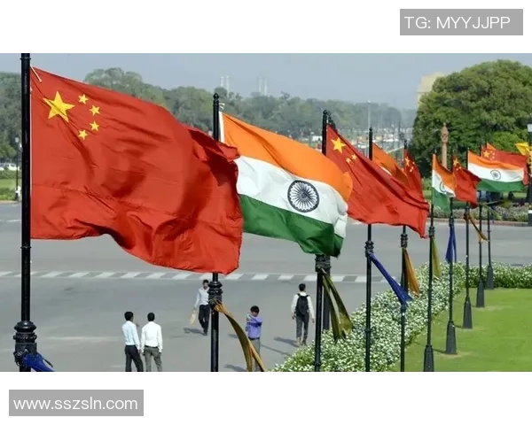 阿劳霍：踏上心灵的橄榄枝，在圣地汲取生命新泉